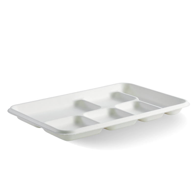 6-Compartment Plant Fibre Tray